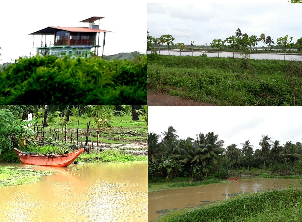 Yala Bay Resort Tissamaharama Bagian luar foto