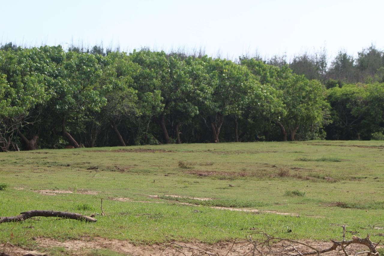 Yala Bay Resort Tissamaharama Bagian luar foto
